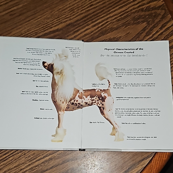 KENNEL CLUB BOOK - Chinese Crested: A Comprehensive Guide-Owning & Caring-Dog - Picture 2 of 10